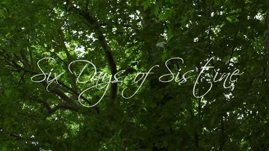 Six Days of Sistine - Backdrops