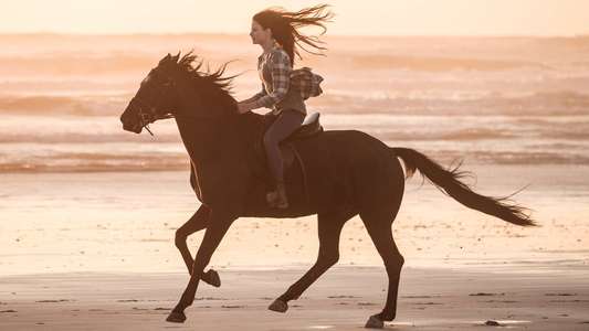 Black Beauty - Backdrops