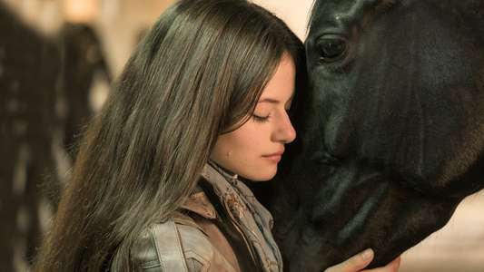 Black Beauty - Backdrops
