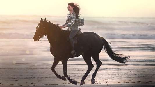 Black Beauty - Backdrops