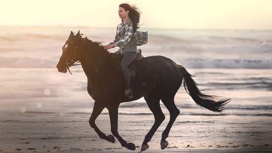 Black Beauty - Backdrops