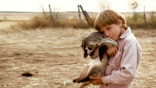 The Boy Who Talked to Badgers - Backdrop