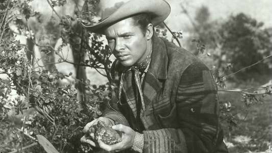 Tumbleweed - Backdrops