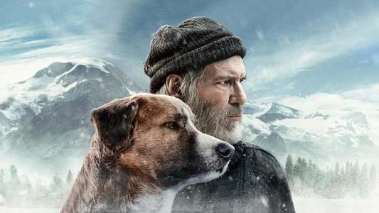 Call of the Wild - Backdrops