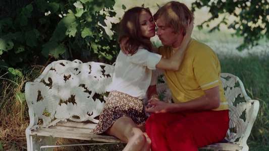 Language of Love - Backdrop