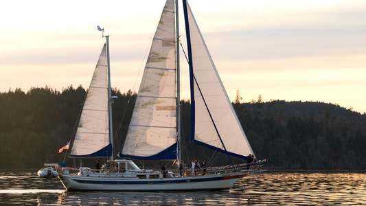 Sailing Into Love - Backdrop