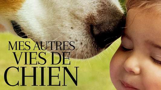 A Dog's Journey - Backdrop
