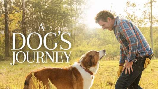 A Dog's Journey - Backdrop