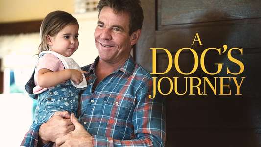 A Dog's Journey - Backdrop