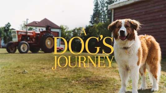 A Dog's Journey - Backdrop