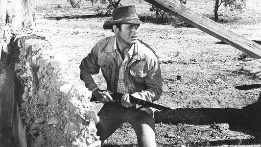 Return of the Gunfighter - Backdrops