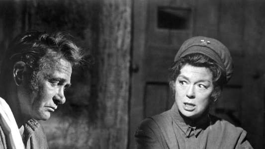Mrs. Pollifax — Spy - Backdrop