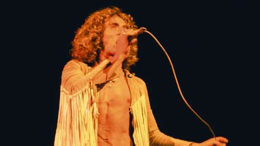 Woodstock: Three Days that Defined a Generation - Backdrop