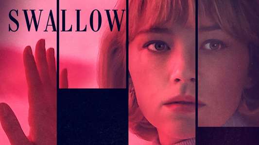 Swallow - Backdrop