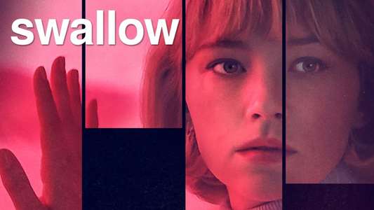 Swallow - Backdrop