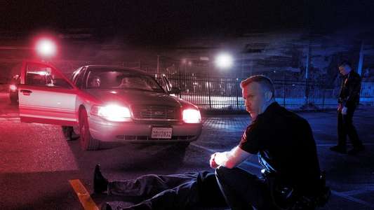Crown Vic - Backdrop