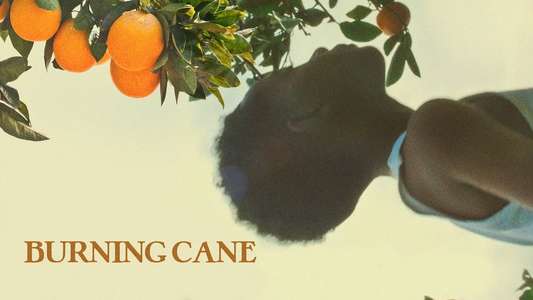 Burning Cane - Backdrop