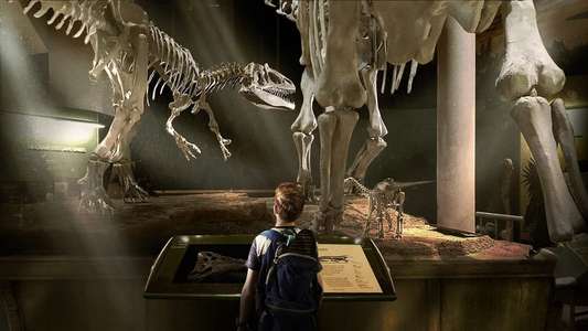The Adventures of Jurassic Pet - Backdrop