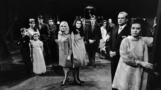 Master of Dark Shadows - Backdrop