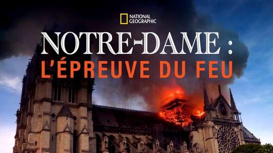 Notre-Dame: Race Against the Inferno - Backdrops