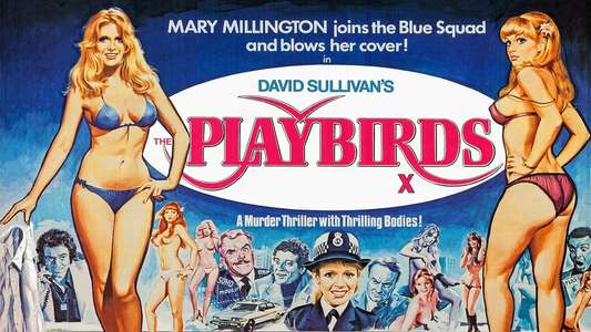 The Playbirds - Backdrops