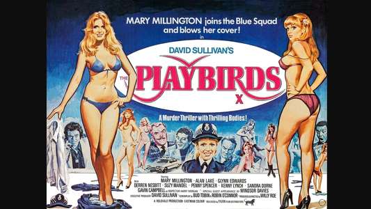 The Playbirds - Backdrops