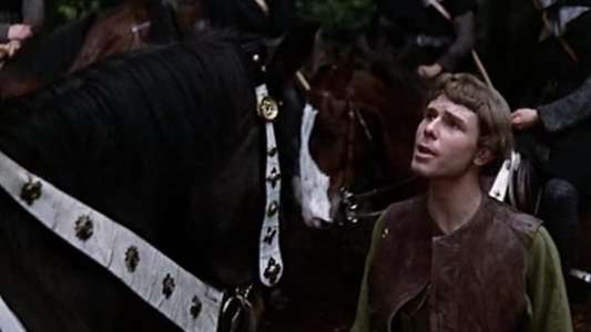 The Men of Sherwood Forest - Backdrop