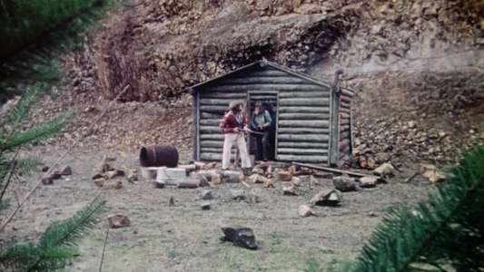Sasquatch  the Legend of Bigfoot - Backdrops