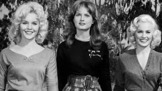 Sex Kittens Go to College - Backdrop