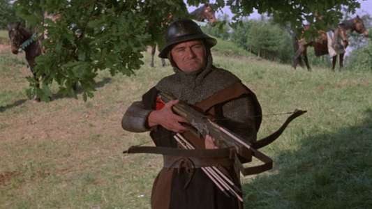 Sword of Sherwood Forest - Backdrop