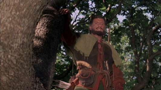 Sword of Sherwood Forest - Backdrop