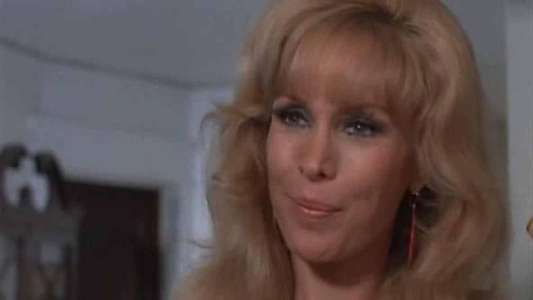 Harper Valley P.T.A. - Backdrops