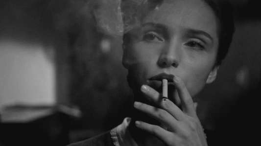 Curtiz - Backdrop