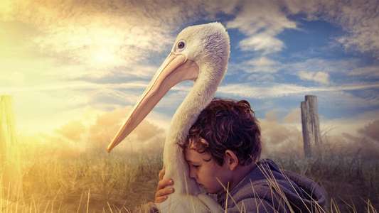 Storm Boy - Backdrop
