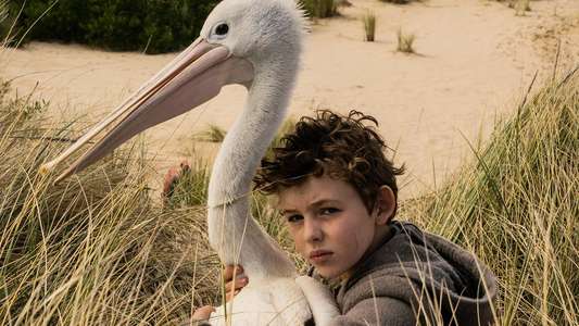 Storm Boy - Backdrop