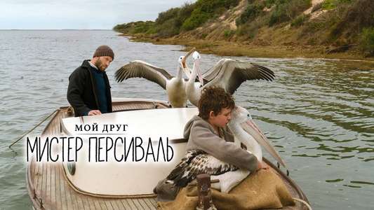 Storm Boy - Backdrop