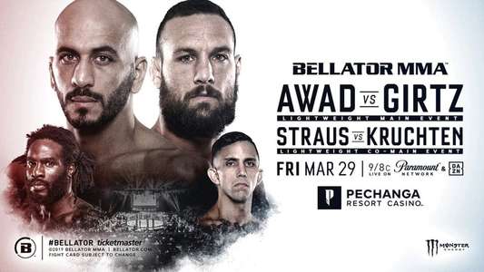 Bellator 219 - Backdrop