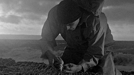 Bait - Backdrops