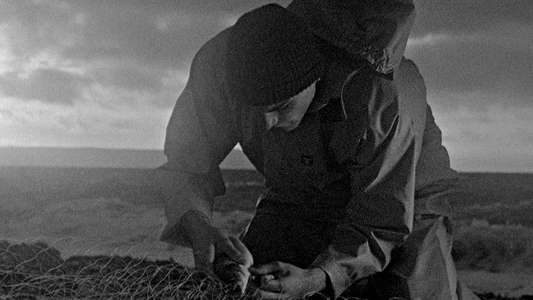 Bait - Backdrops