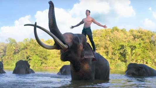 Junglee - Backdrops