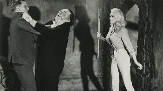 Hillbillys in a Haunted House - Backdrops