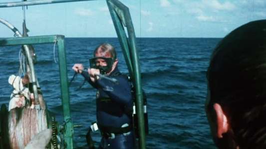 Mako: The Jaws of Death - Backdrops