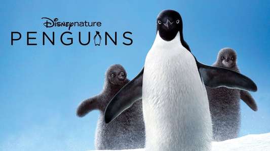 Penguins - Backdrops