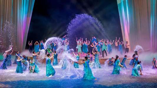 One Night for One Drop: Imagined by Cirque du Soleil - Backdrop