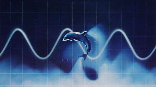 The Day of the Dolphin - Backdrop