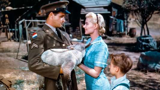 Peyton Place - Backdrop