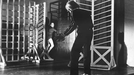 I Was a Teenage Werewolf - Backdrops