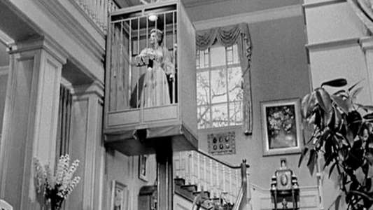 Lady in a Cage - Backdrop