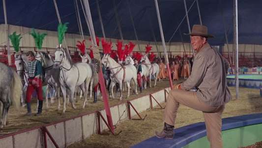 Circus World - Backdrop