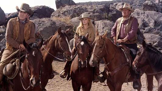 The Train Robbers - Backdrop